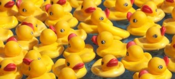 duckies-567x290-567x258