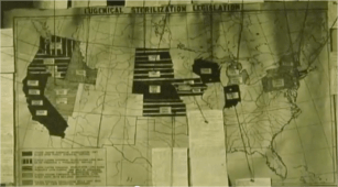 genetics myth eugenics