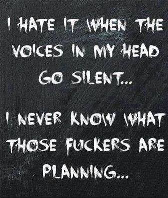 i hate it when the voices go silent