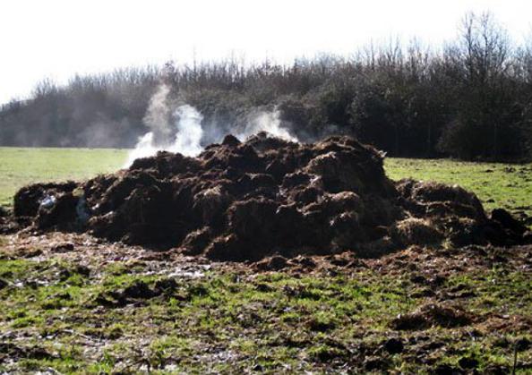 steaming pile